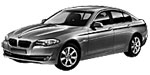 BMW F10 P106D Fault Code